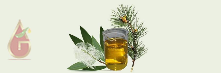 Turpentine Oil - Pureoilsindia