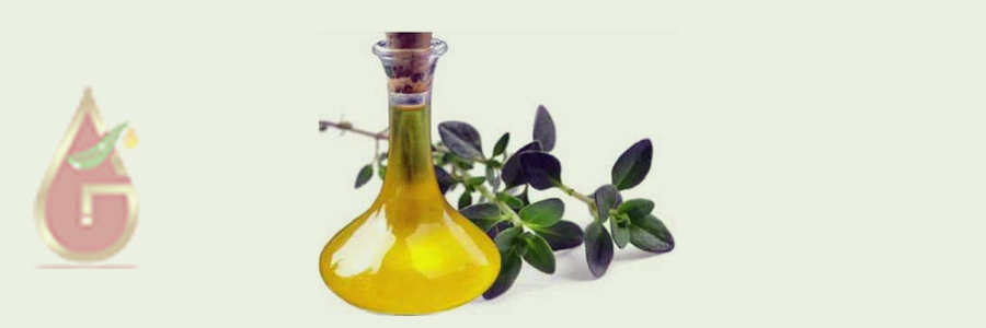 Thyme Oil