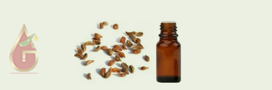 Tomar Seed Oil