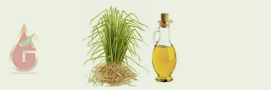 Vetiver Oil