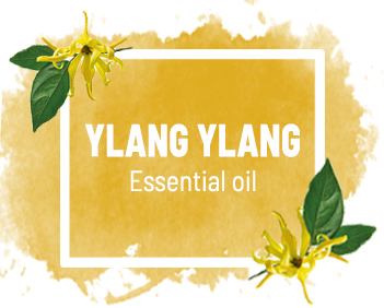 YLANG YLANG OIL